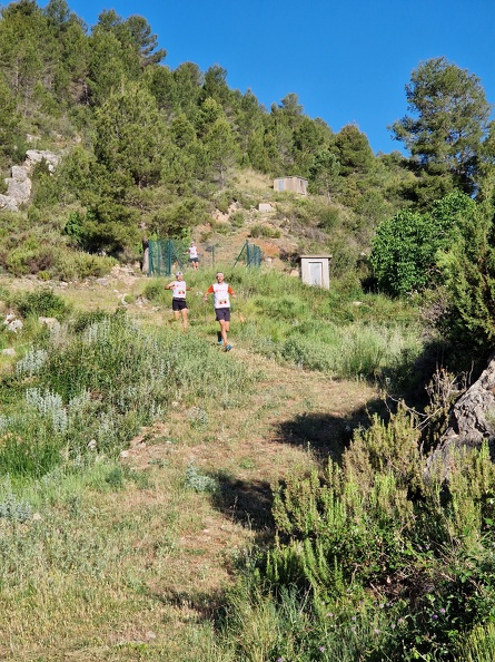 20240602_083539.jpg